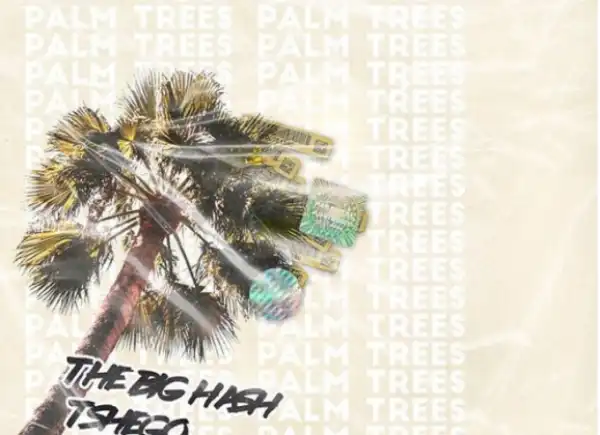 The Big Hash - Palm Trees Ft. Tshego